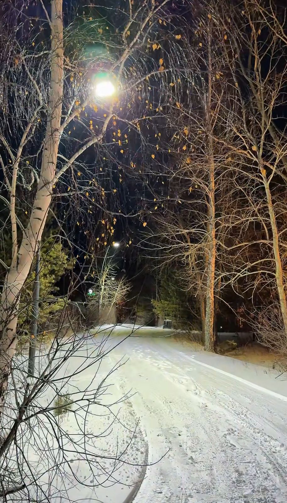 ТОО «Бурабай даму» проводит работы по освещению велосипедных дорожек используемых в зимнее время в качестве лыжных трасс